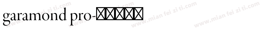 garamond pro字体转换